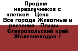 Продам 2 неразлучников с клеткой › Цена ­ 2 500 - Все города Животные и растения » Птицы   . Ставропольский край,Железноводск г.